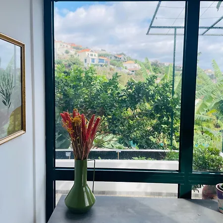 Apartamento Sunny Escape - - Silva Downstairs Ponta do Sol (Madeira)