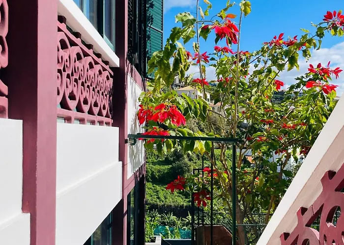 Sunny Escape - - Silva Downstairs Appartamento Ponta do Sol (Madeira)